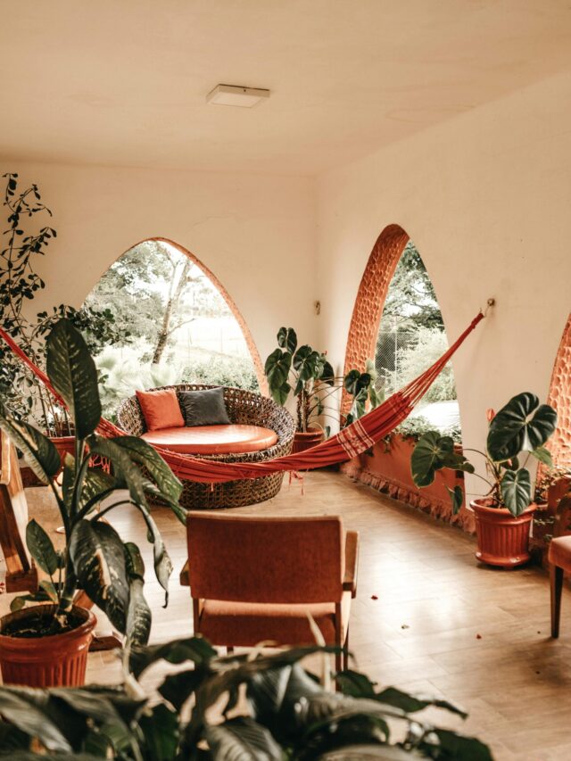 A spacious modern living room featuring a hammock, indoor plants, and natural lighting with stylish furnishings.