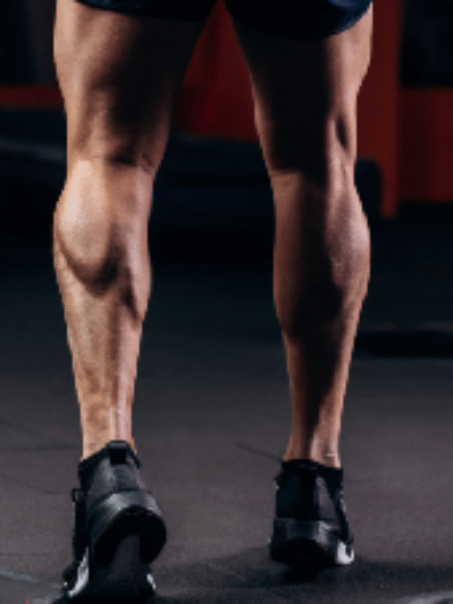 calf muscle